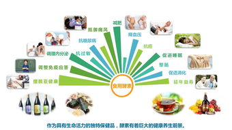 搭建集酵素產品銷售 體驗 健康管理咨詢服務一體化服務平臺