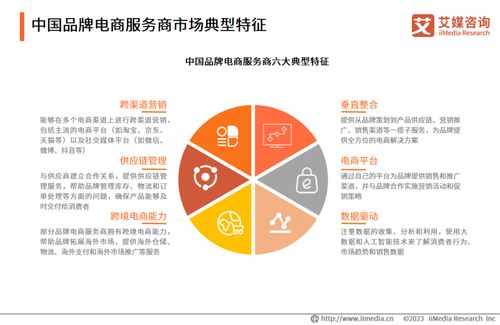 艾媒咨詢 2023年中國品牌電商服務商行業研究報告